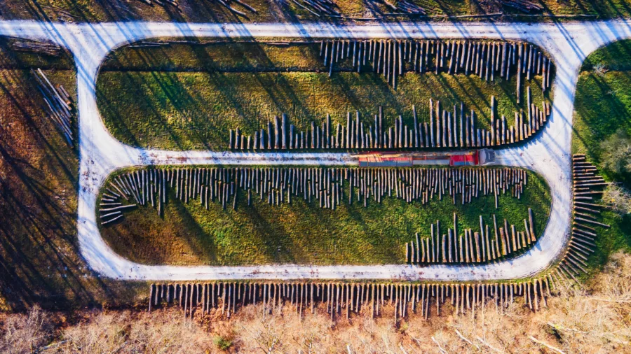 Groupe-mauffrey-environnement-Bois-4